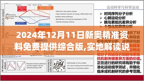 2025新溴兔费资料精选解析、落实与策略